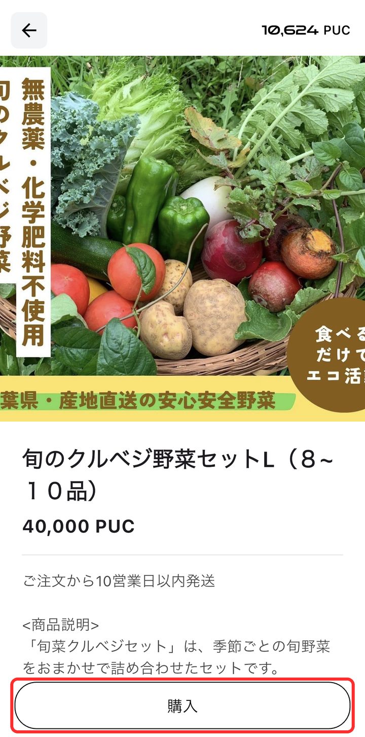 商品詳細画面。下部の購入ボタンが赤枠で囲まれている